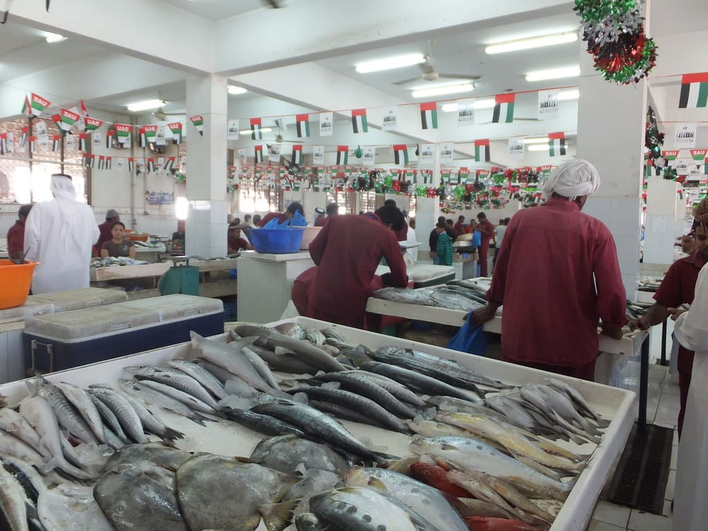 سوق السمك رأس الخيمة: قلب التراث البحري وأشهى المأكولات