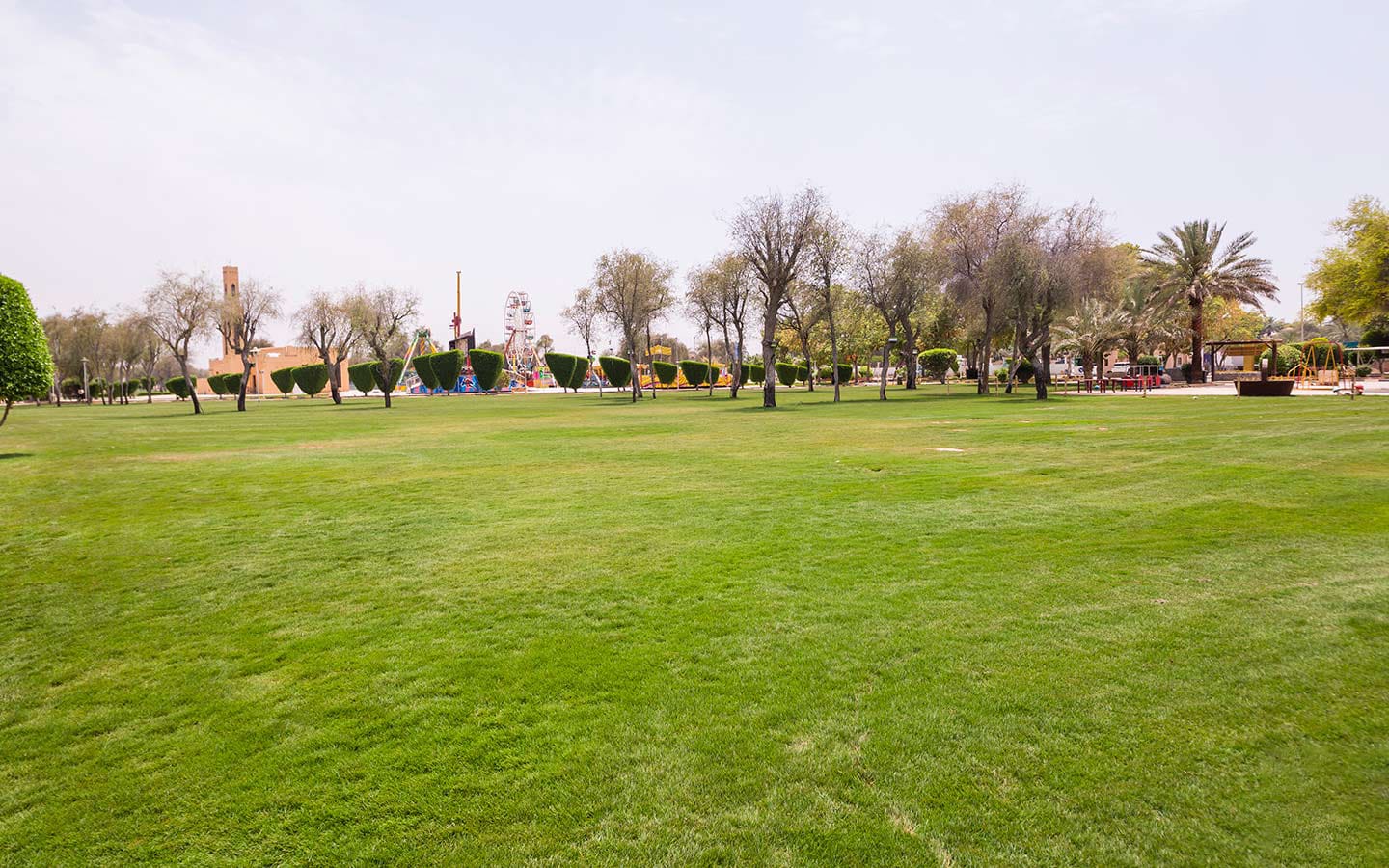 Saqr-Park-trees and grass view