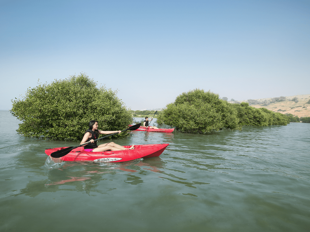 Mangrove Kayaking in Ras Al Khaimah: All You Need to Know