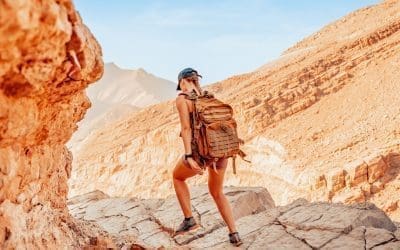 spotlight-bear-grylls