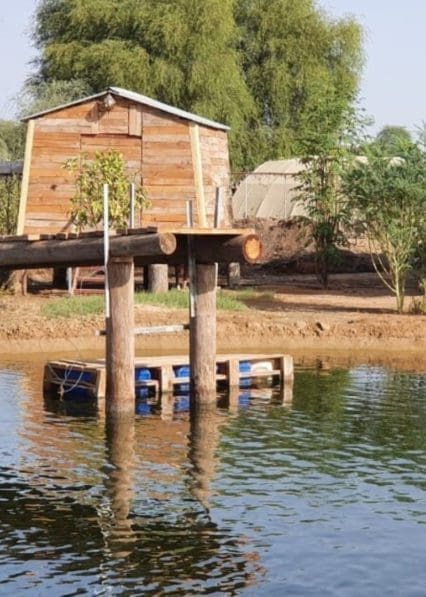 RAK Natures Treasures