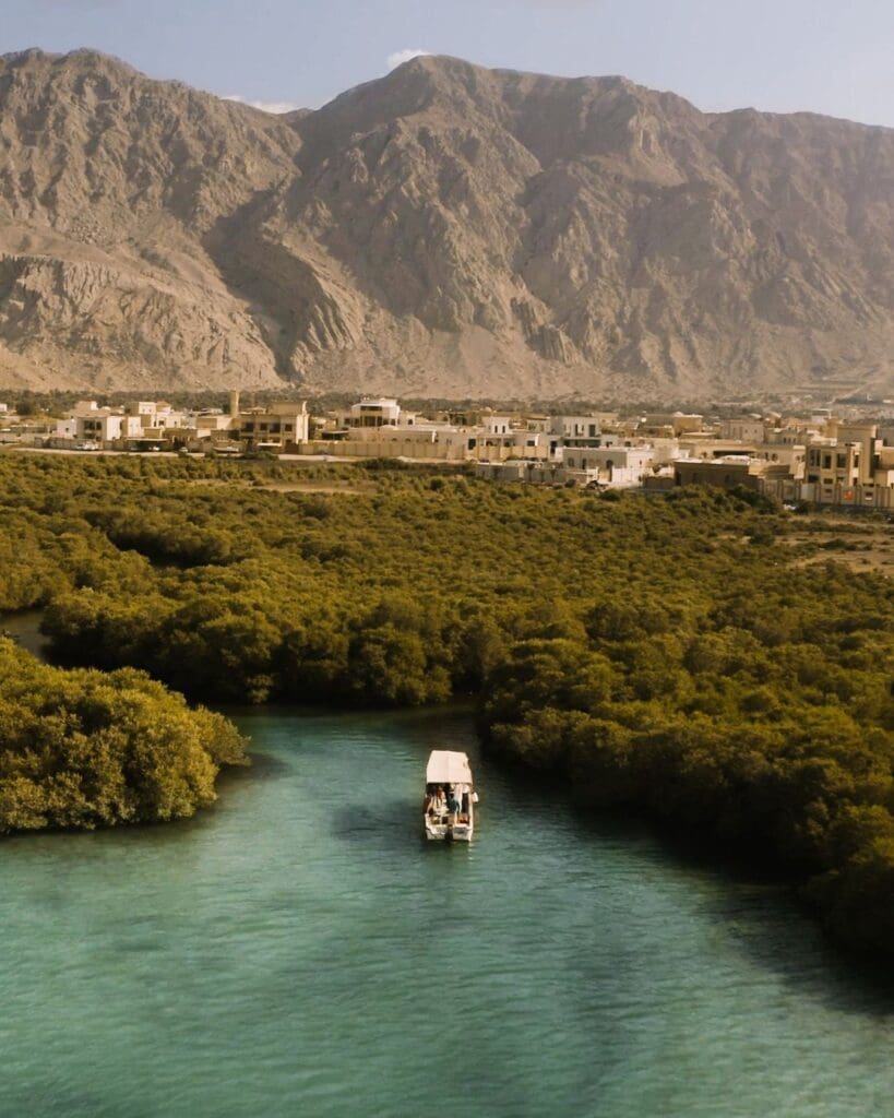 Ras Al Khaimah’s Mangroves