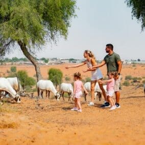 Ritz Carlton Ras Al Khaimah Al Wad