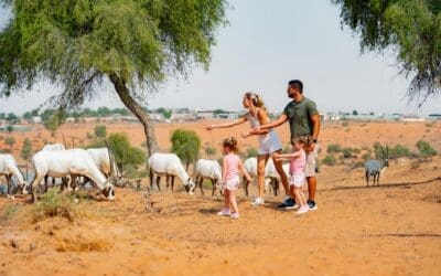 Ritz Carlton Ras Al Khaimah Al Wad