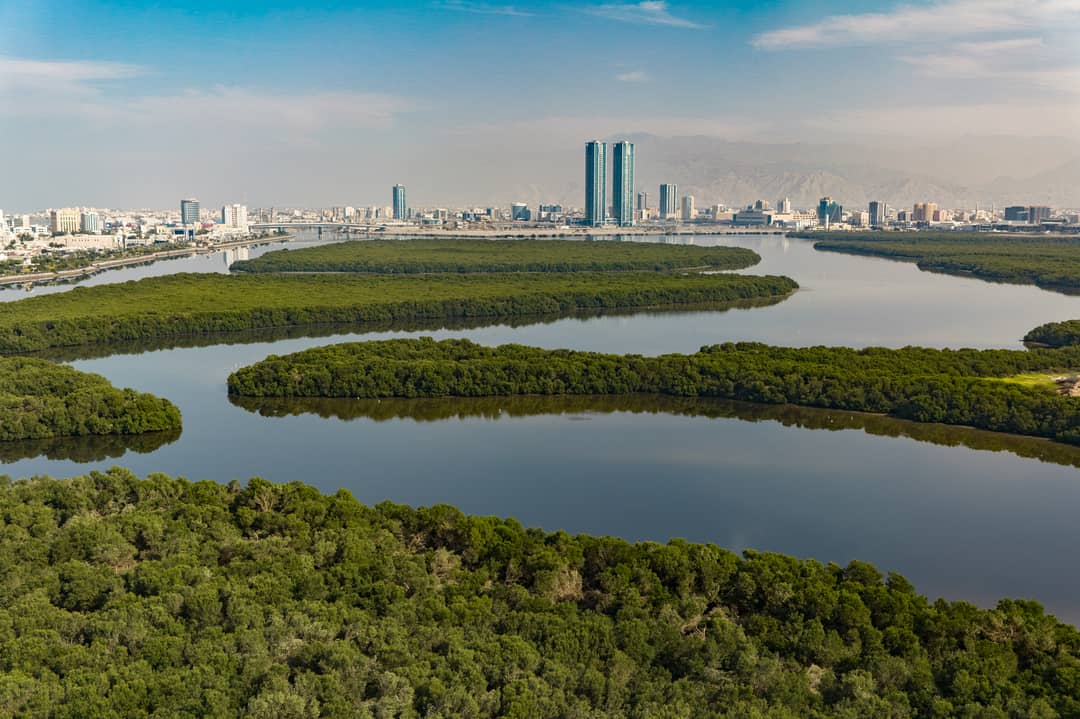 How to Book a Taxi in Ras Al Khaimah: All the Apps You Need to Know