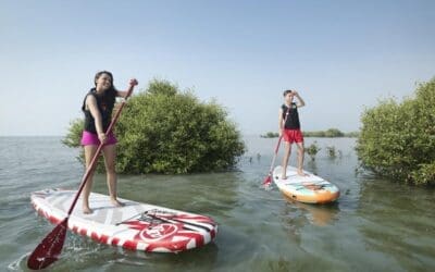 RAK Mangrove Paddle Boarding_0005